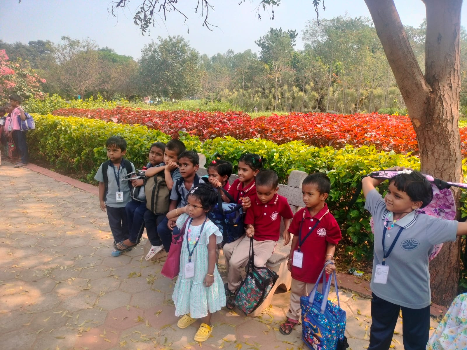 Children gathered along a path in a flower garden during a field trip